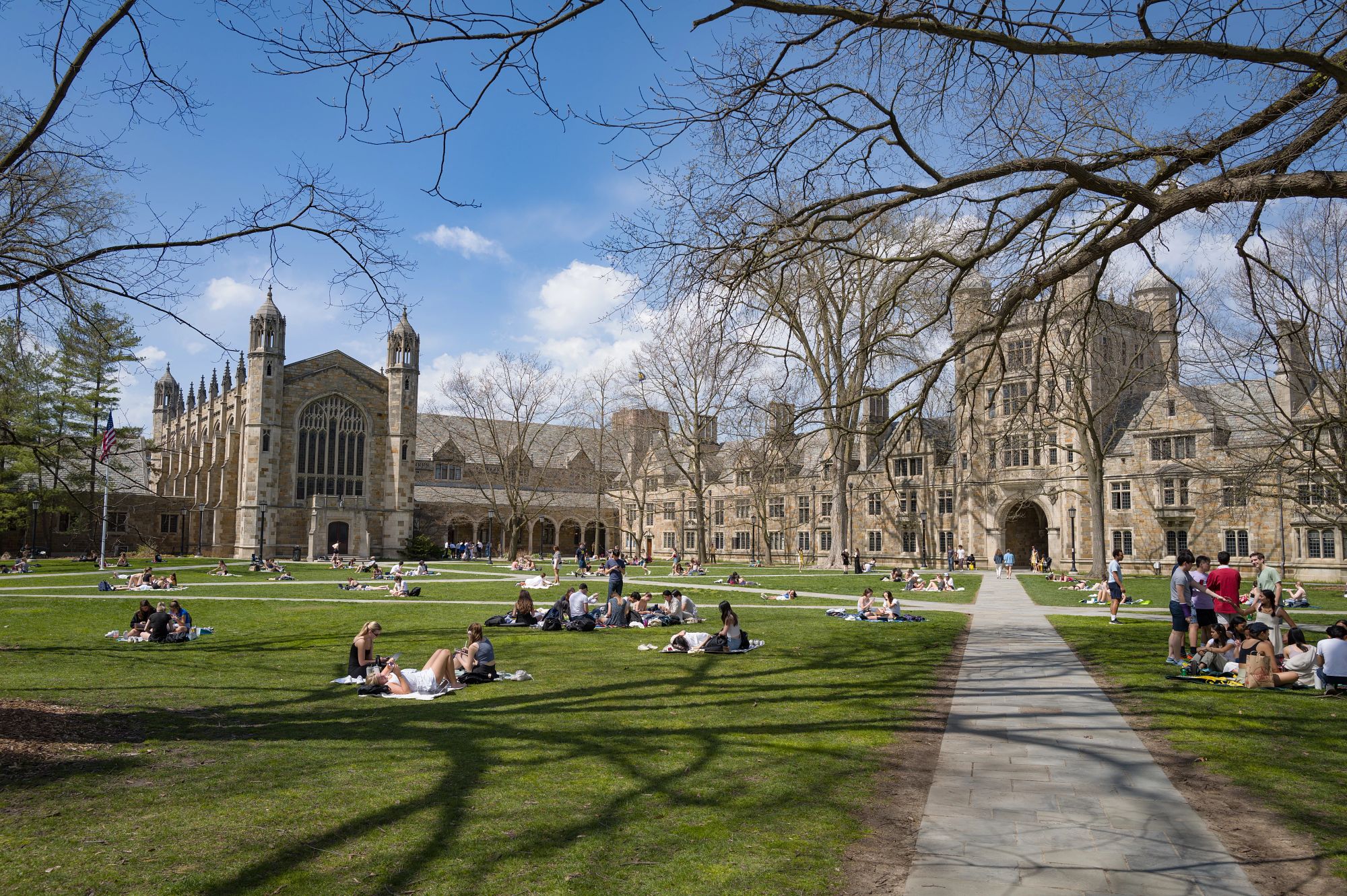 Students on the Law Quad