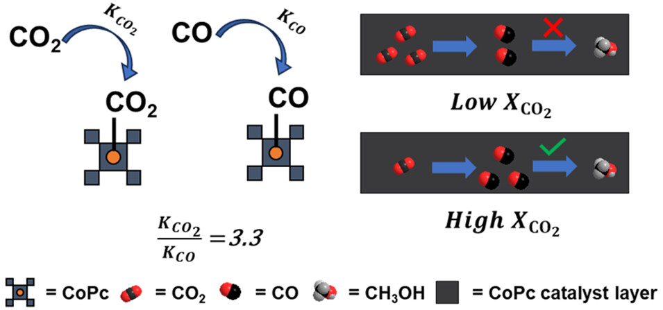 Electrochemical CO2 Reduction to Methanol by Cobalt Phthalocyanine: Quantifying CO2 and CO Binding Strengths and Their Influence on Methanol Production