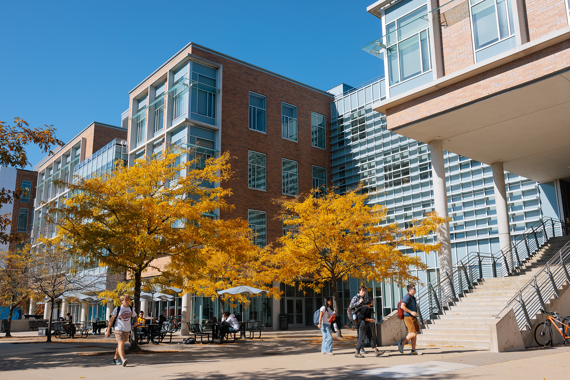 Students walk past the golden trees planted outside of the Bob and Betty Beyster Building on a clear fall day.