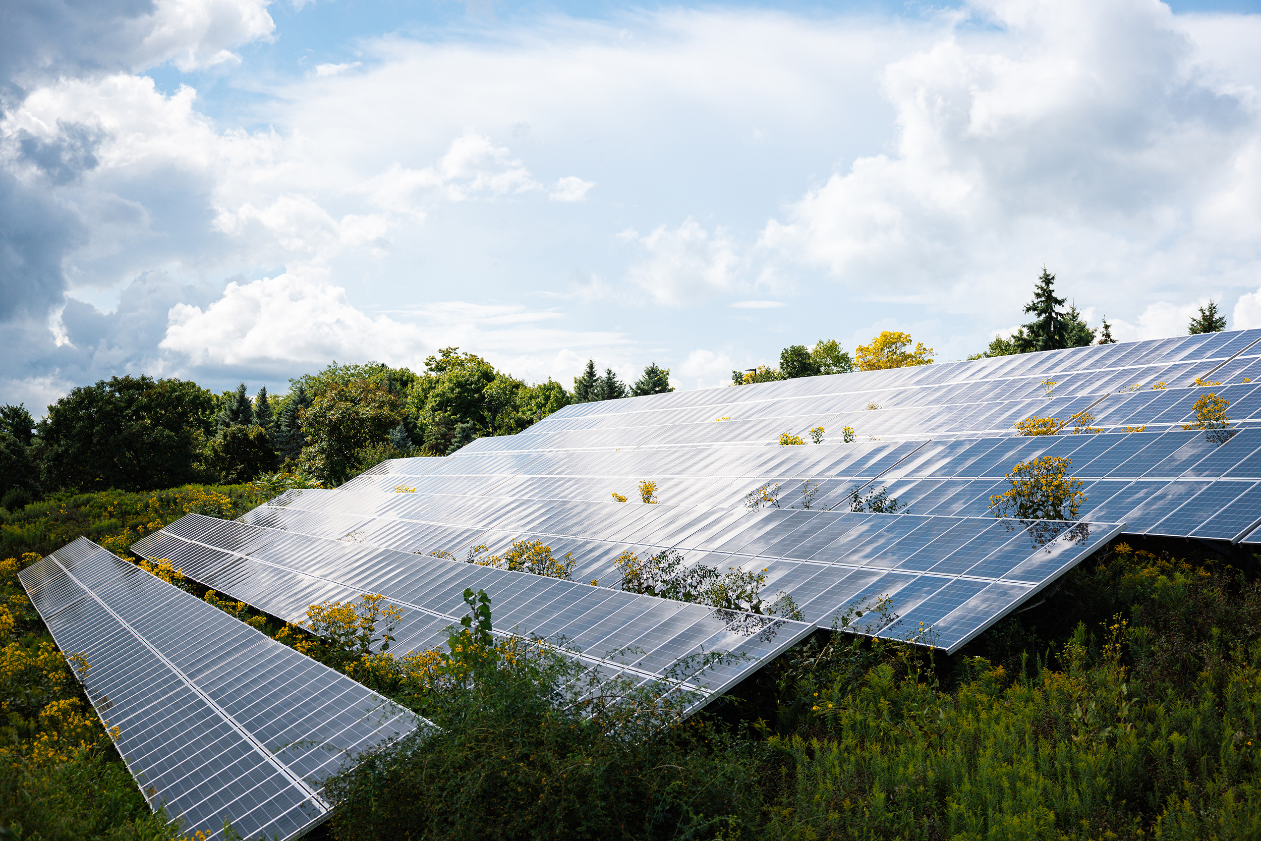 An array of solar panels on the North Campus Research Complex.